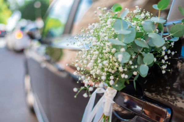 Read more about the article Tips for a Memorable Limo Experience